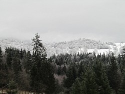 Ski Varság