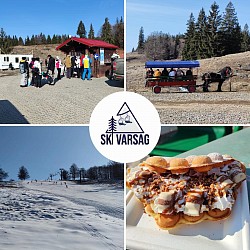 Skivarsag