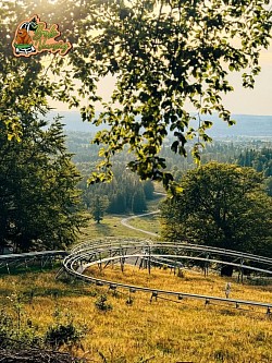 Bob Székelyvarság